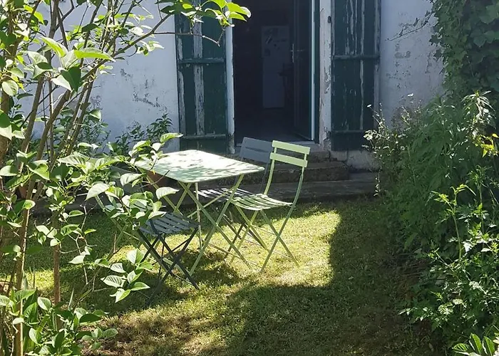 D'hoetes Les Logilles A *